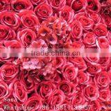Artificial Wedding Rose Wall thumbnail-5