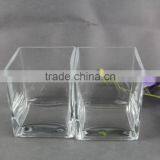 Transparent Glass Vase , Square Glass Flower Vase thumbnail-3