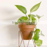 Iron Garden Flower Stand, Steel Stand, Floral Stand thumbnail-2