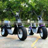 2017 New Design Removeable Battery Citycoco Electric Scooter Road Scooter Two Big Tire Citycoco thumbnail-1