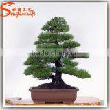 Distinctive Designs a Wide Variety of Artifical Life Size Artificial Decorative Plants and Trees thumbnail-3