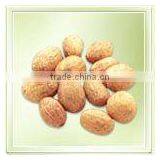 Esternut thumbnail-1