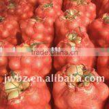 pp Mesh Bags,rose-red,cheery Color.shinny! for Packing Onions. thumbnail-1