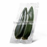high quality bamboo leaf extract bamboo leaves No pollution Fresh