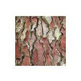 Pine Bark Extract 95% Proanthocyanidins (UV-VIS) thumbnail-1