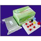 Aflatoxin M1 ELISA Test Kit thumbnail-2