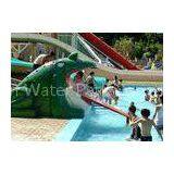 Funny Cantoon Flog Slide Kids Water Slides for Amusement Park Equipment thumbnail-1