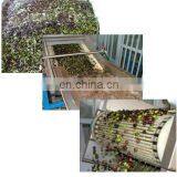 How Much is Olive Oil Line Production thumbnail-3