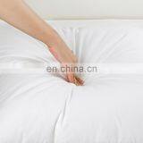 RAWHOUSE COTTON 100% 16x16 Pillow Insert thumbnail-6