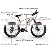 Hotselling 26inch Alloy Frame Electric Bicycle Beach Ebike 36v 250w Electric Mountain Bike thumbnail-3