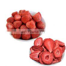 LTDG-Series Freeze Drying Strawberry Freeze Dried Food Equipment With GMP Standard thumbnail-2