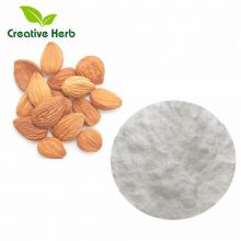 100% natural  Apricot seed extract Amygdalin Vitamin B17 Amgydalin 98% CAS NO.29883-15-6