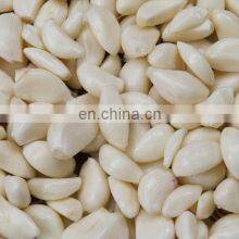 High Quality Garlic Peeling Machine / Garlic Skin Removing Machine thumbnail-5