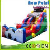 Newpoint Competitive Price New Style Inflatable Slide