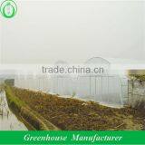 Anti Dripping Poly Tunnel Greenhouse thumbnail-1