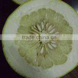 12kg Carton New Fresh Pomelo thumbnail-1