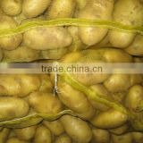new crop chinese fresh potato