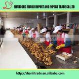 Fresh Yellow Ginger in 2016 thumbnail-6