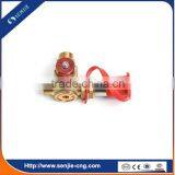 Fuel System Spare Parts Gas Precharge Valve thumbnail-3