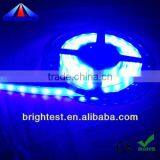 IP66 60led/m 5050 Purple LED Strip 12V thumbnail-1
