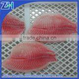 Frozen deep skinned tilapia fillet