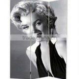 New Design Canvas Room Dividers