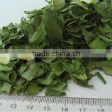 Chinese Onion All Green Leeks Good Qulaity thumbnail-1