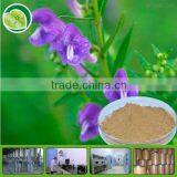 100% Natural astragalus root extract powder