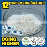 China Factory supply food grade lipase enzyme food additives lipase for Jelly