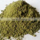 ISO Certified Moringa Leaf Powder Pure Moringa Herbal Powder