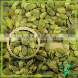 Latest Crop White Pumpkin Seeds Kernel Dried Pumpkin Seeds Kernel thumbnail-1