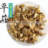 Detan Wholesale Dried Oyster Mushrooms for Customer thumbnail-1