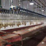 Full Stainless Steel Structure Halal Chicken Processing Line