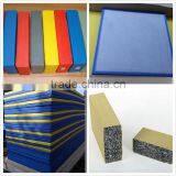 2016 New! 180kg/m3 1m x 2m x 40mmJudo Floor Mat thumbnail-2
