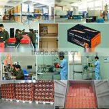 2015 New Timber Cutting Chain Saw With CE TUV thumbnail-3