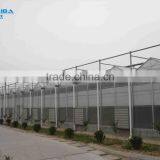 BaoLiDa Low Cost 20 Micron Polycarbonate Greenhouse pc Sheet Greenhouse thumbnail-4