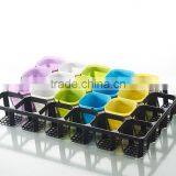 Plastic 24 Divided Plastic Material Hydroponic Seedling Trays thumbnail-6