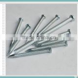 China Manufacturer Concrete Nail,Concrete Steel Nail in High Quality
