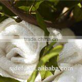 Luxury Hotel Bathroom Eco-friendly 100% Egyptian Cotton Towel Sets thumbnail-3
