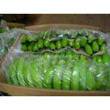 FRESH CAVENDISH BANANA thumbnail-3