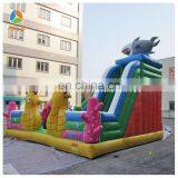 Guangzhou Inflatable,amusement Park Inflated