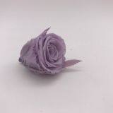 High Quality Timeless Preserved Flower Rose to Make Gorgeous Flower Gifts thumbnail-3