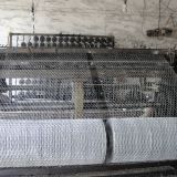 Chicken Wire Netting Black Vinyl Coated Poultry Coated Galvanized