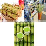 Fully Automatic Sugar Cane Juicer Machine With High Quality thumbnail-4