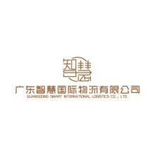 Guangdong wisdom international logistics co., LTD