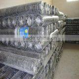 Hexagonal Wire Mesh(factory and Supplier)