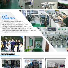 Dongguan Well Motor Co.Ltd company overview - view 1 thumbnail