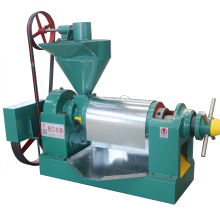 Automatic Moringa Seed Oil Extraction Machine Qingjiang Oil Press for Sale thumbnail-2
