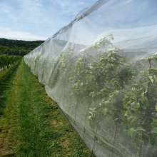 30 40 50 60 Mesh Greenhouse Anti Aphid Netting Customized Size Garden Vegetables Pest Control Screen Insect Screen Barrier Net thumbnail-4