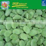 IQF Frozen Green Broad Beans thumbnail-1